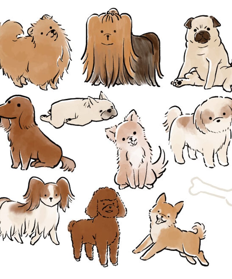 色々な犬種 動画イラスト素材 | 売り場を賑やかに飾ろう！【POPRIN 