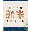 60de8ff6ec877131eb81a1d3
