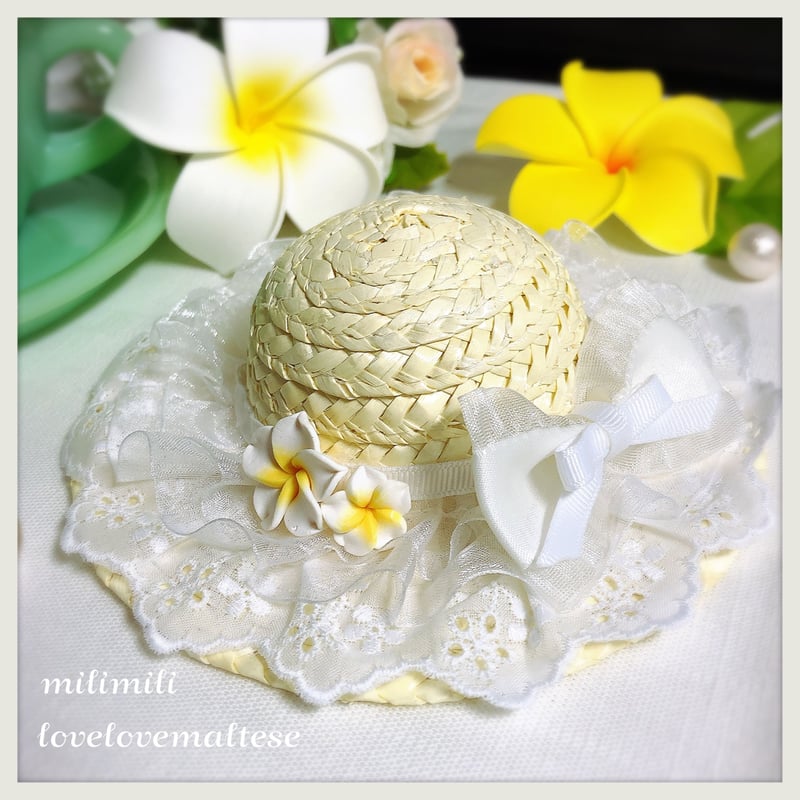 麦わら帽子Ꮇお好みカラー✗ホワイト犬・猫 プルメリア装飾❁handmade