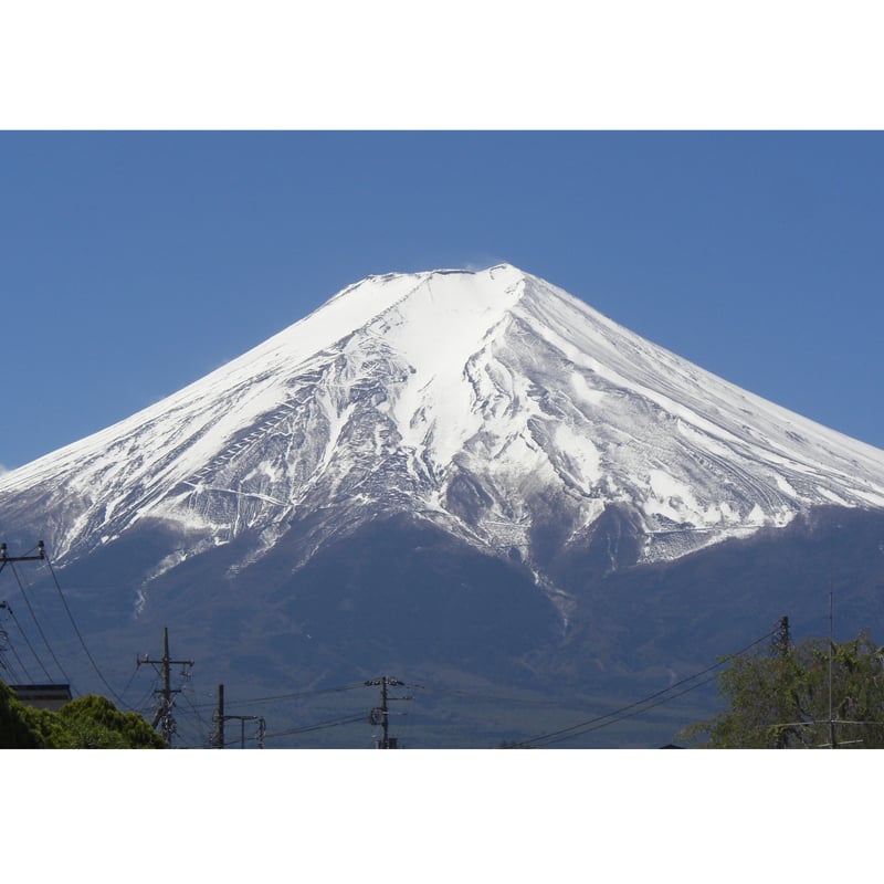 美品 舟久保織物 郡内織 富士吉田市 ふるさと納税 富士山 長傘 富士山/青 | 舟久保織物オンラインストア|長く愛用できる日本製の高級傘
