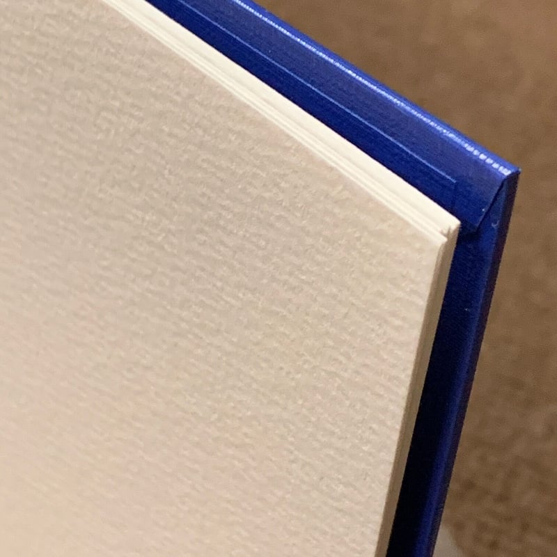 スケッチブック [髭剃り富士] | さるハゲ商店