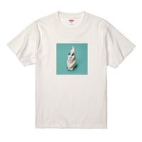 陶芸 Tシャツ「変な人」 (ミントグリーン)