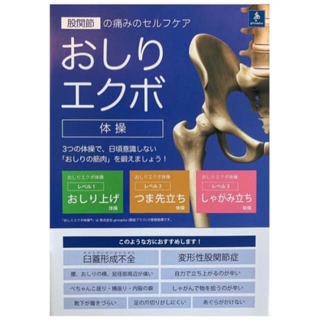 3点セット！tripodと解説パンフレットと「最強の股関節セラピーで体はみるみる若返る！」