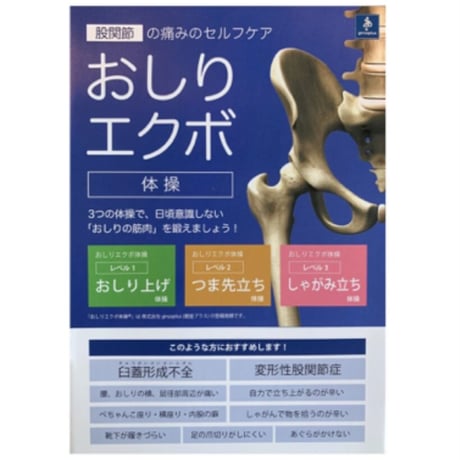 tripod とおしりエクボ体操®︎　解説パンフレットセット