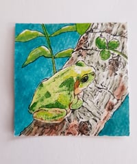 水彩画｢♣を見つけたアマガエルさん｣