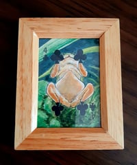 水彩画｢裏側のカエルさん｣