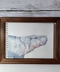 水彩画「コビトカバさん」