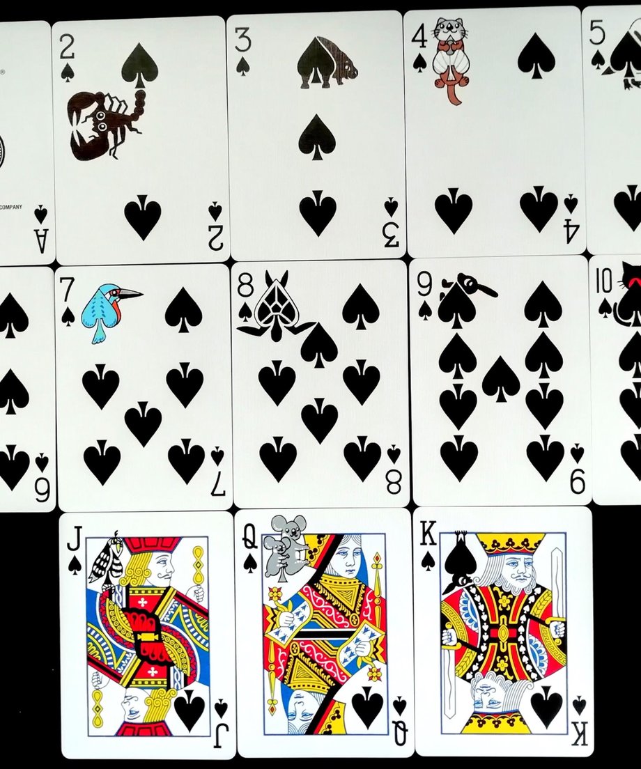 5eca91c555fa03173cf3e072