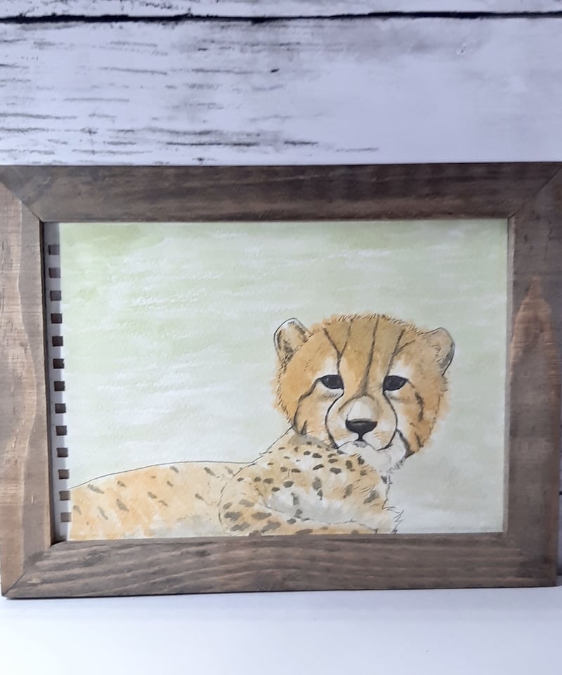 美品 ダイアン・エルソン「キッチン」水彩画 直筆サイン入 額縁入 猫 ねこ 美品 ダイアン・エルソン「キッチン」水彩画 直筆サイン入 額縁入 猫