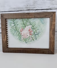 水彩画『水草からウーパールーパーさん』