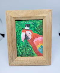 水彩画｢マジシャンコウゴウインコさん｣