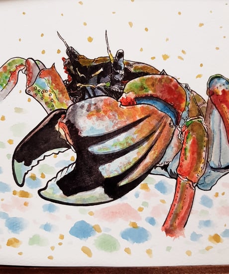 水彩画「カニさん｣