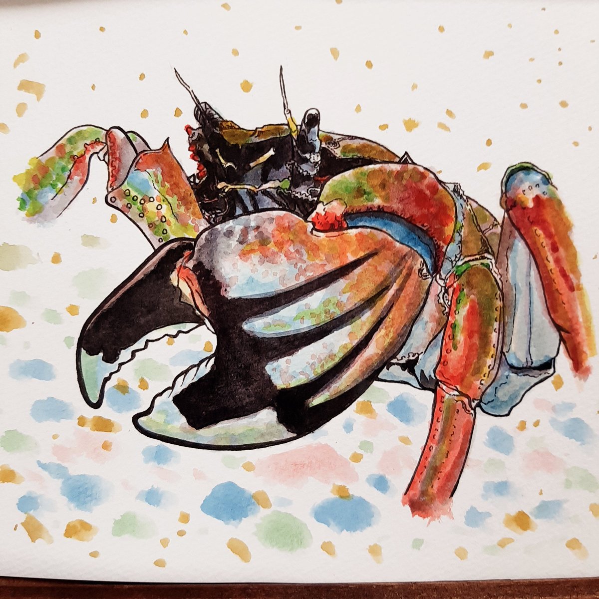 水彩画「カニさん｣ | sola-chan STORE