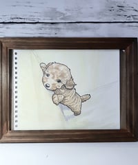 水彩画「子トイプードルさん」