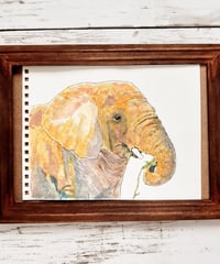 水彩画「ぞうさん食事中｣