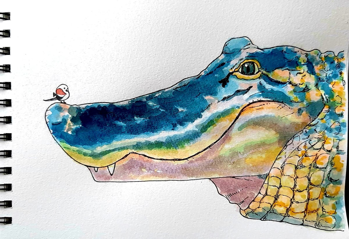 fit=scale-down,w=1200