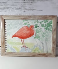 水彩画『♥️ハートの羽のショウジョウトキさん』