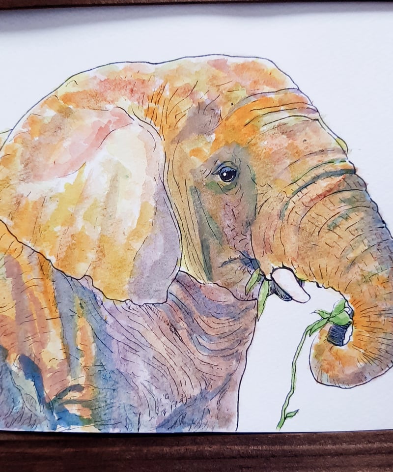 絵画　ソウ・リッカイ　水彩画 水彩画「ぞうさん食事中｣ | sola-chan STORE