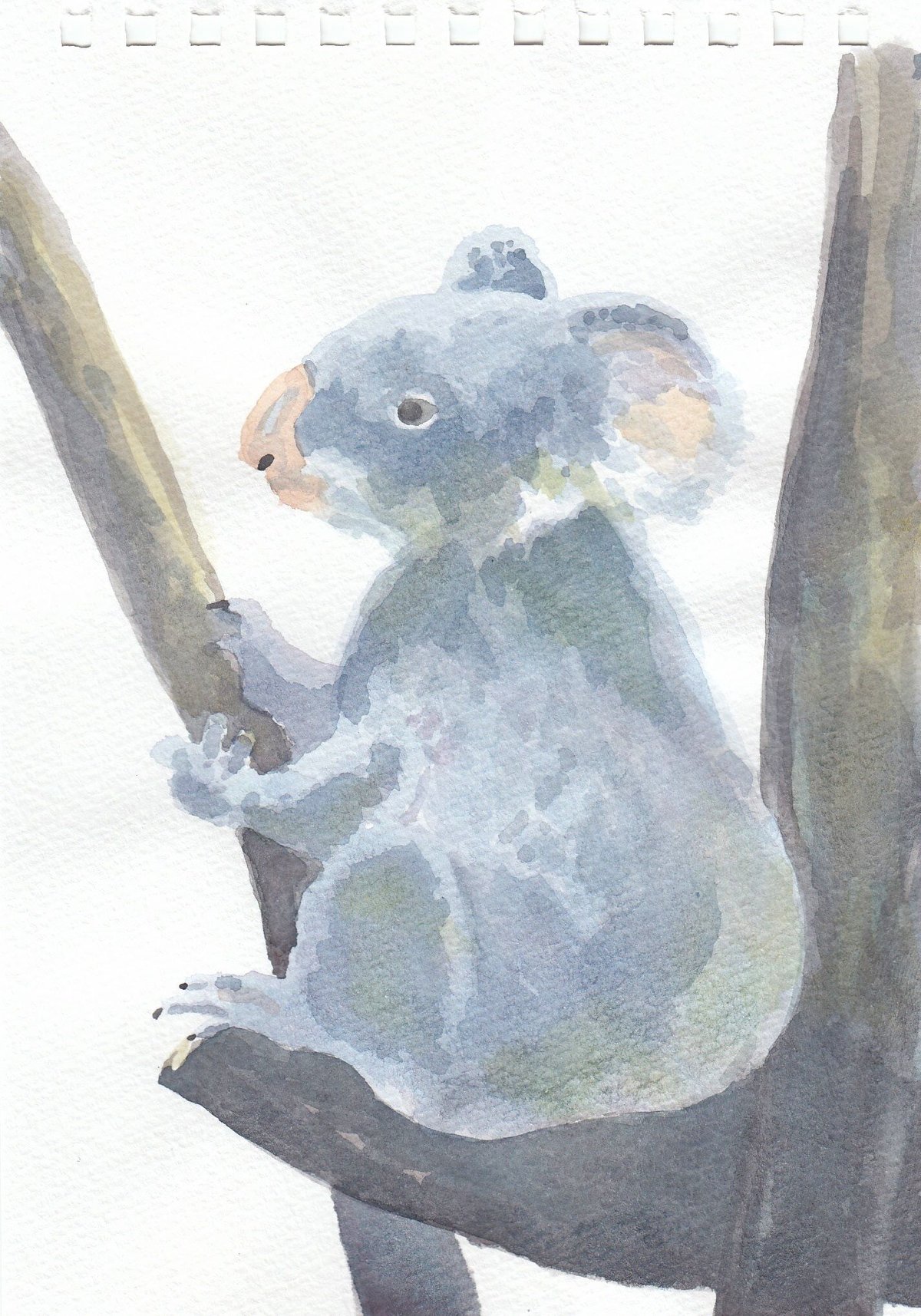 fit=scale-down,w=1200