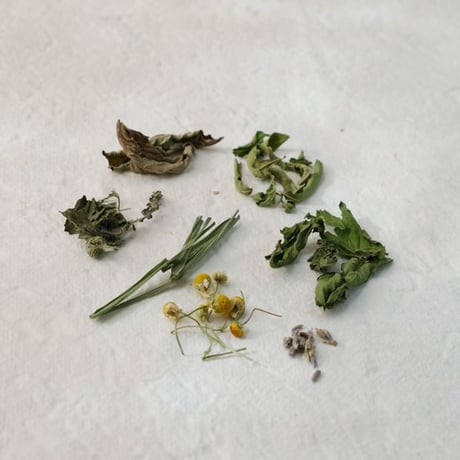 neutral sense リラックスティー "mellow bloom"
