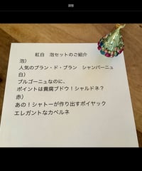 ブルゴーニュと紅白・泡　両方合わせました6本！のセット