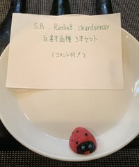 Youtubeとのコラボ！　　白ワイン基本品種　3本セット　SB,Ris,Cha.