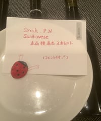 Youtubeとのコラボ！赤ワイン基本品種　3本セット　PN, Syrah , Sangiovese