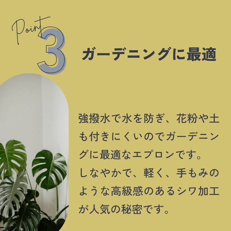 新作 ナイロン キャミエプロン/1921/ASCOT | ASCOT