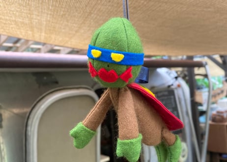 モモタマナッツマン
