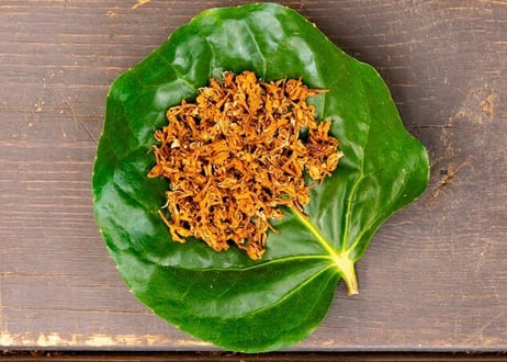 Coffee Flower Tea 珈琲花茶　(ティーバッグ1個入り)