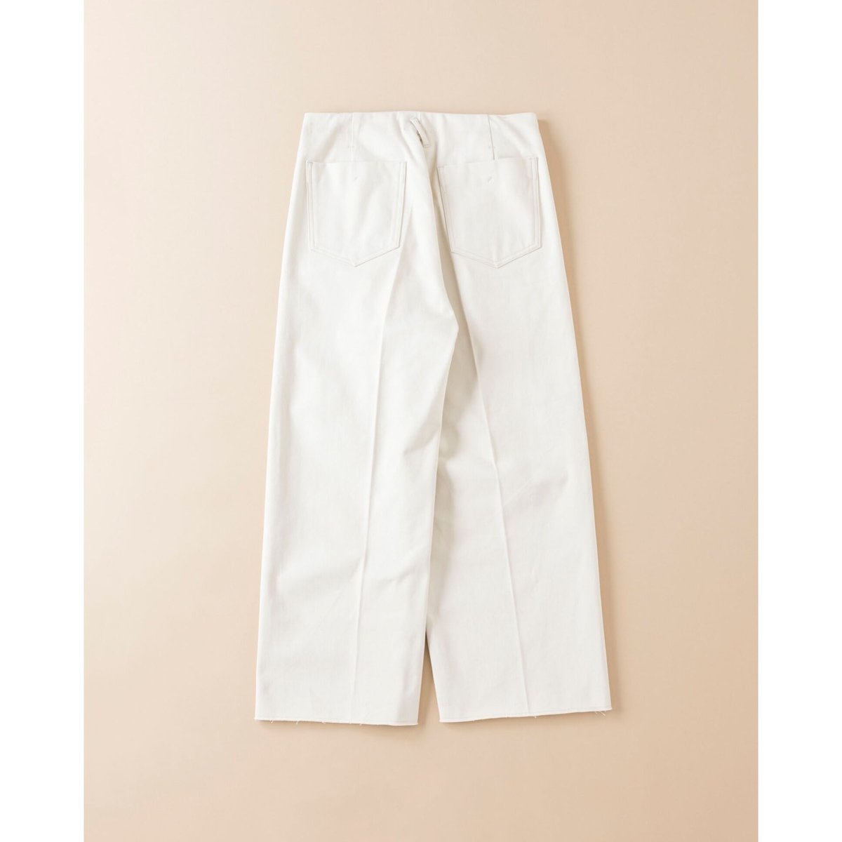 saby / AW2023 / TUCK BAGGY - Classic Worker Sat...