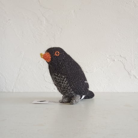 Birdwatching  BERLIN AMSEL