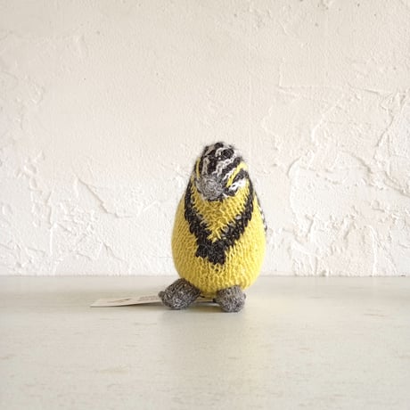 Birdwatching WESTERN MEADOWLARK