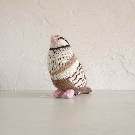 Birdwatching  PARTRIDGE