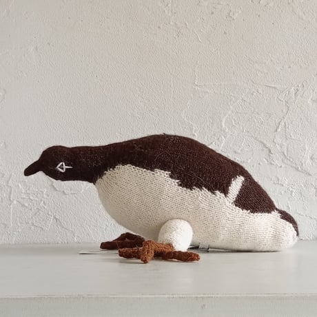 Birdwatching  MURRE