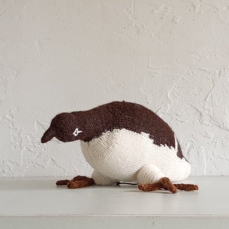 Birdwatching  MURRE