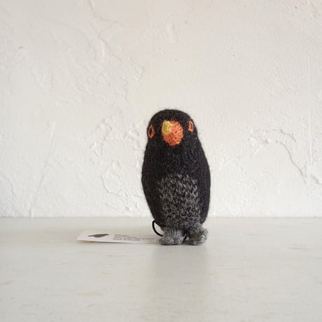 Birdwatching  BERLIN AMSEL