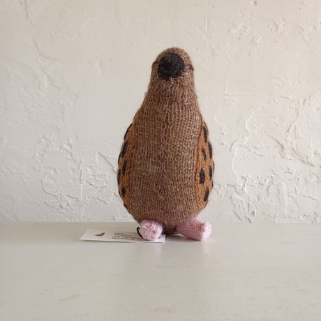 Birdwatching  TURTLE DOVE
