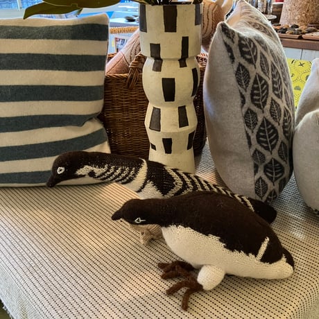 Birdwatching  MURRE