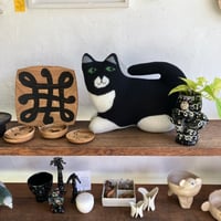 Sally Nencini　Black and White Cat