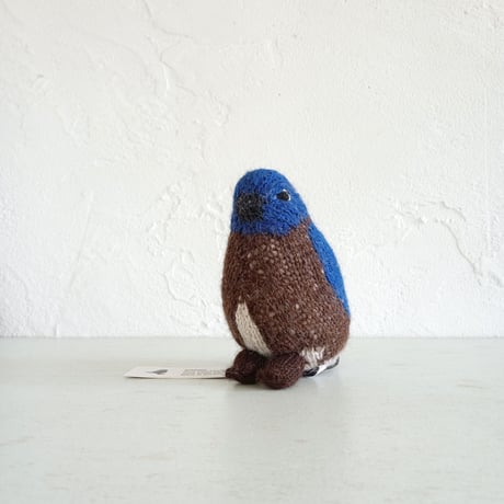 Birdwatching  BLUE BIRD EASTERN