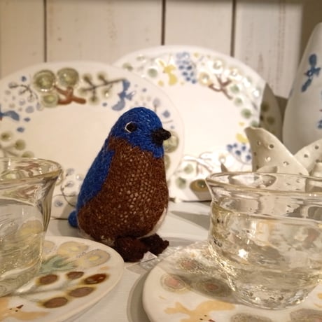 Birdwatching  BLUE BIRD EASTERN