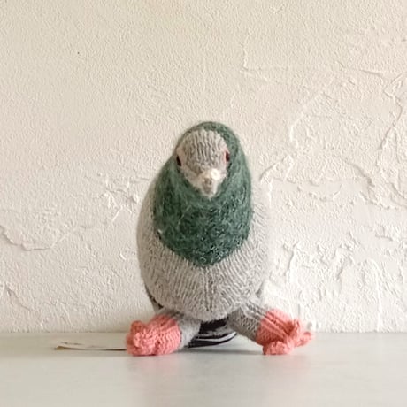 Birdwatching  PIGEON