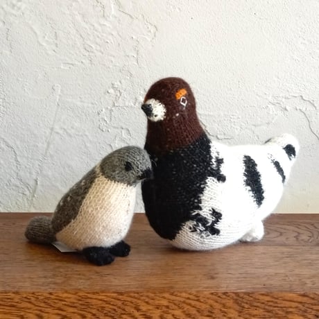 Birdwatching WILLOW PTARMIGAN