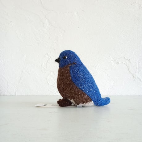 Birdwatching  BLUE BIRD EASTERN