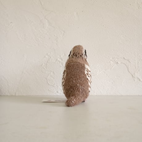 Birdwatching  PARTRIDGE