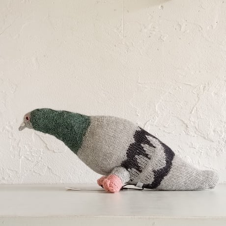 Birdwatching  PIGEON