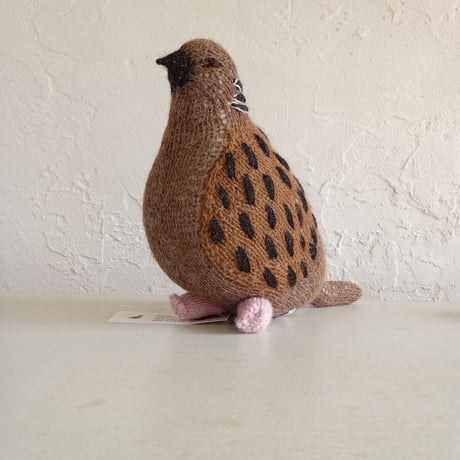 Birdwatching  TURTLE DOVE
