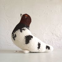 Birdwatching WILLOW PTARMIGAN
