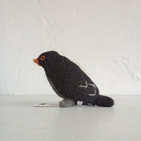 Birdwatching  BERLIN AMSEL